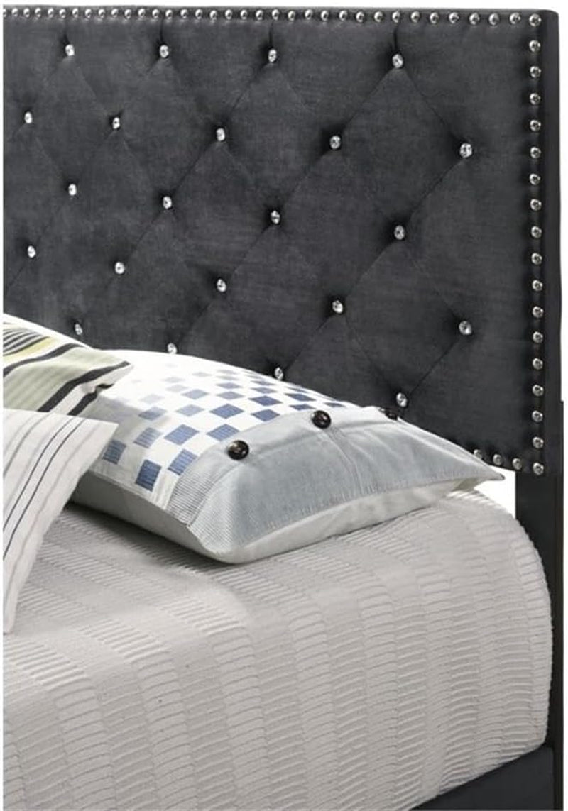 Suffolk Velvet Upholstered Queen Bed in Black