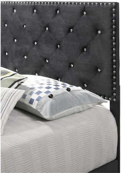 Suffolk Velvet Upholstered Queen Bed in Black